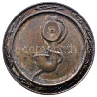 ~1925. "Tábori távbeszélő kitüntetés" lemez jelvény (14.55g/45mm) T:2- Hungary ~1925. "Field Telephone Operator's Badge" military decoration (14.55g/45mm) C:VF Sallay: 24.