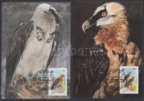 WWF: Madarak sor 4 db CM-en WWF: Birds set on 4 CM