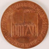 Örkényi Strasser István (1911-1944): Testvéredet ne hagyd el! 5700 (1940), OMZSA. Bronz plakett, apr...