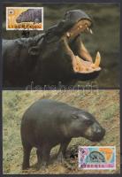 WWF: Hippos set on 4 CM, WWF: Vízilovak sor 4 db CM-en