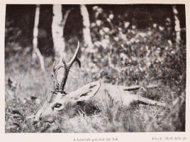 Avarffy Elek: Vadászutakon. Budapest, 1942, Atheneum. Ritka vadászkönyv, gerince hiányzik