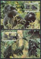 WWF: Gorillas set on 4 CM WWF: Gorillák sor 4 db CM-en