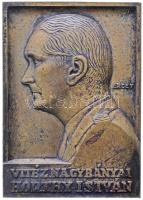 Erdey Dezső (1902-1957) 1943. "Vitéz Nagybányai Horthy István" egyoldalas öntött bronz plakett (120x85mm) T:2- Hungary 1943. "István Horthy de Nagybánya" commemorative bronze plaque. Sign: ERDEY (120x85mm) C:VF HPII: 757.