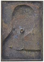 Erdey Dezső (1902-1957) 1943. "Vitéz Nagybányai Horthy István" egyoldalas öntött bronz pla...