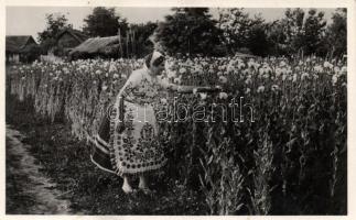 Kalocsai népviselet / Hungarian folklore (EK)