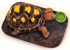 Teknősbéka, festett kerámia, ragasztott fejjel, apró lepattanással, 11×8 cm