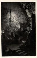 Aggteleki cseppkőbarlang, Tilalomfa a paradicsomban
