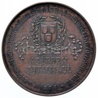 1886. "Az Érdem Jutalmául - A Budapesti szobafestő, czímfestő, mázoló, aranyozó, fényesítő ipar...