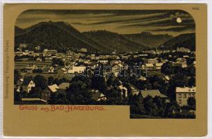 Bad Harzburg C Litho (EB)