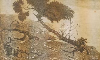 Nyári Lóránt (1928-1982): Papszigeti gyökerek. Rézkarc, papír, üvegezett keretben, jelzett, 29x49cm