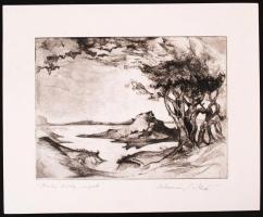 Kolozsvári G. Miklós (1950-): Burkus király sziget. Rézkarc, papír, jelzett, 15x20 cm