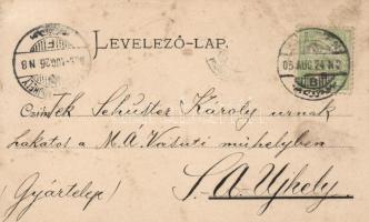 Pöstyén, floral, kiadja Gipsz H. (fl)