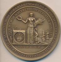 DN Keszthelyi Agrártudományi Egyetem Br emlékérem az egyetem címerével (75mm) T:2 ph.