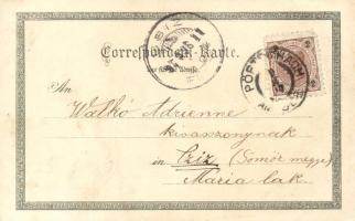 1897 Kärnten, Gailthalerin / folklore, Ottmar Zieher litho