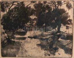 Barczi Pál (1933-2003):Sajó part. Rézkarc, papír, jelzett, üvegezett keretben, 18×23 cm