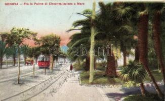 Genova, Ring Road, palm trees, tram (Rb)