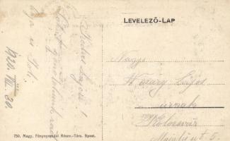 Kolozs-Sósfürdő, park, Art Nouveau floral