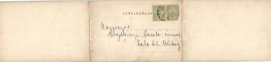 Szekszárd, 3 részes panorámalap; Fischhof Mór kiadása / panoramacard