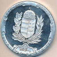 Bozó Gyula (1913-2004) "A Magyar Köztársaság Honvédelmi Miniszterétől" ezüstözött Br emlék...