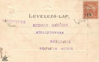 Szabadka, Törvényszék; Krécsi A. Nándor kiadása / court, birds Emb. litho