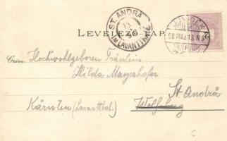 1898 Újvidék, Novi Sad, Dietzgen's shop, litho