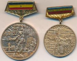 Románia 1984. "A felszabadulás 40. évfordulója" Br kitüntetés + 1987. "A mezőgazdasági kollektivizálás befejeződésének 25. évfordulójára" Br kitüntetés T:2  Romania 1984. "40th  Anniversary of Liberation" Br decoration + 1987. "25th Anniversary of the completion of collectivization of agriculture" Br decoration C:XF