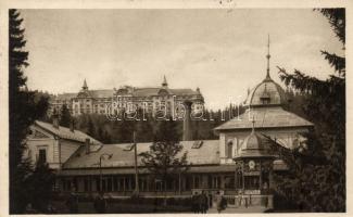 Tátralomnic, Palota Szálloda, gyógyház / Hotel Palace, spa (Rb)