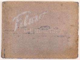 cca 1920-1940 Népszerű színészek gyűjtőmappa, magyarok is, sok érdekes fekete-fehér fotóval. Leírás ...