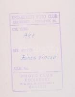 Kecskeméti Fotó Club(Vincze János): Akt, pecséttel jelzett, 30x40 cm