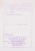 Kecskeméti Fotó Club (Vincze János): Vonalak és foltok, pecséttel jelzett, 30x39 cm /
nude photo