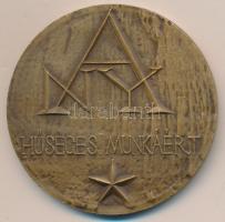 Ligeti Erika (1934-) DN "Debrecen 1561 - Huszár Gál / ANY (Alföldi Nyomda) - Hűséges Munkáért&q...