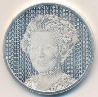 Hollandia 2006. 5€ Ag "Beatrix / Rembrandt" T:PP
Netherlands 2006. 5 Euro Ag &qu...