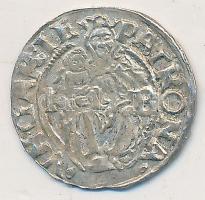 1550K-B Denár Ag &quot;I.Ferdinánd&quot; (0,57g) T:2 patina &lt;br/&gt;Huszár 935., Unger II.:745.a