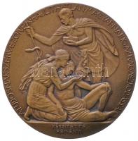 Reményi József (1887-1977) 1927. "Dr. Wenhardt János" bronz emlékérem (60mm) T:2 /
1927. D...