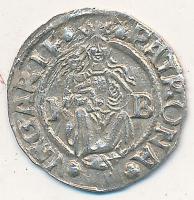 1544K-B Denár Ag &quot;I.Ferdinánd&quot; (0,60g) T:2  &lt;br/&gt;Huszár 935., Unger II.:745.a