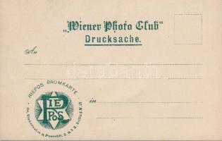 1904 W. Ph. C. Herrenabend, erotic postcard s: K. Prokop