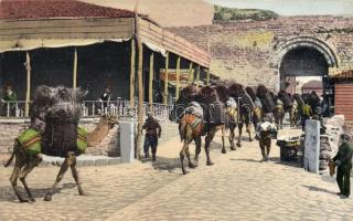 Constantinople, land walls, camels