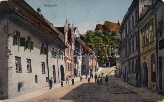 Segesvár, Várdomb / castle hill