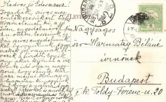 Balaton, Vitorlások, Divald Károly