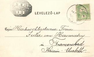 Visegrád, Divald Károly