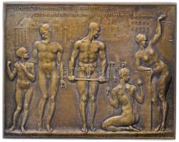 Belgium 1913. "Élettan" négyszögletes bronz plakett. Szign.: Marcel Wolfers (52x65mm) T:2- Belgium 1913. "Physiology" commemorative bronze plaque. Sign: Marcel Wolfers (52x65mm) C:VF