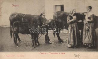 Naples, Napoli; Folklore, cows, selling milk  (EK)