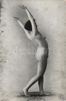 Erotic art postcard, nude (non PC) (EK)