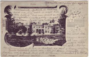 Korytnicza Hygiea (win Riß)