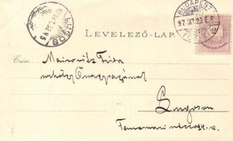 1897 Budapest, litho