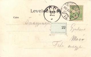 Budapest VIII. József körút, Ganz Antal litho