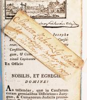 A jász és Kun megyebéli törvény-székeket tárgyazó statutumok, mellyek Jósef, ő királyi herctzegsége ...