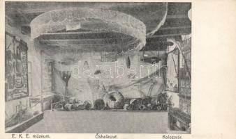 Kolozsvár, EKE Múzeum, Őshalászat / Transylvanian museum interior