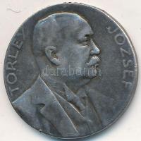 1907. "A Törley Gyár 25 éves fennállásának emlékére / Törley József" Ag emlékérem (11,22g/...