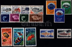 Hal motívum 1953-1969 16 klf bélyeg, közte 2 sor, Fish 1953-1969 16 stamps